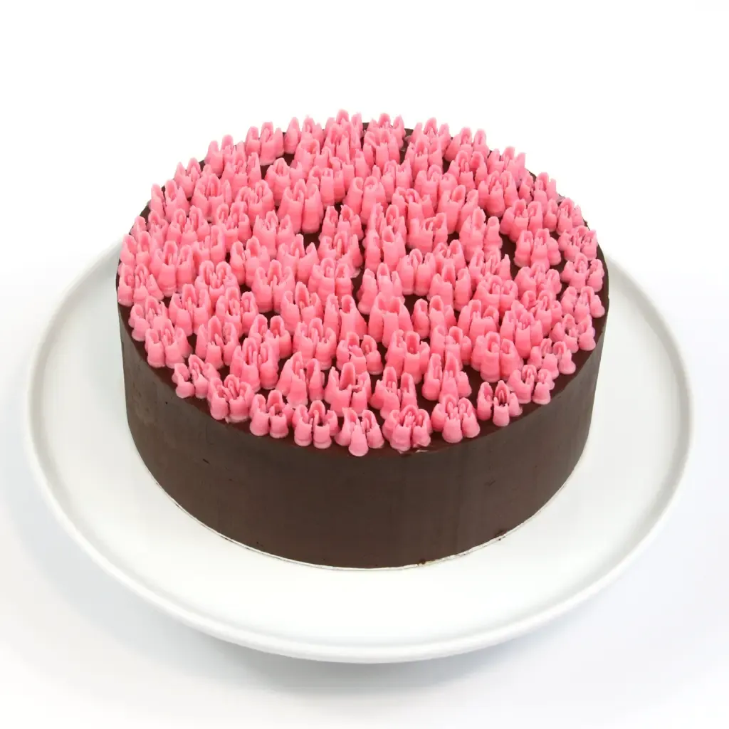 Chocolate caramel cake
