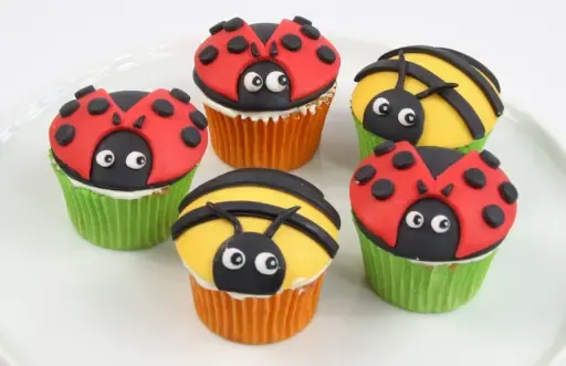 Bees and ladybirds